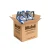 Caja x4 (Galón 4 L c/u)