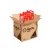 Caja x3 (Galón 4 L c/u)