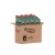 Caja x12 (Galón 1 L c/u)