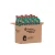 Caja x12 (1 L c/u)